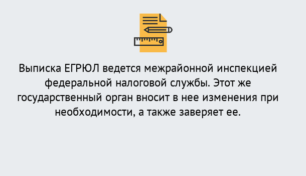 Почему нужно обратиться к нам? Россошь Выписка ЕГРЮЛ в Россошь ?