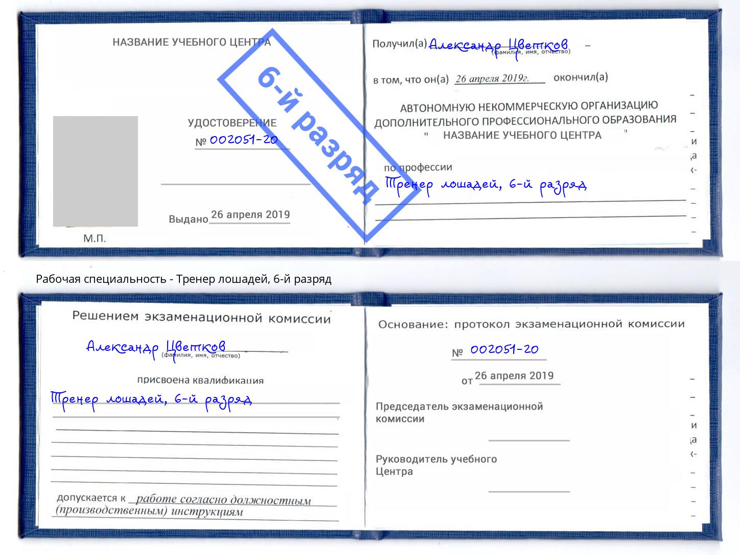 корочка 6-й разряд Тренер лошадей Россошь
