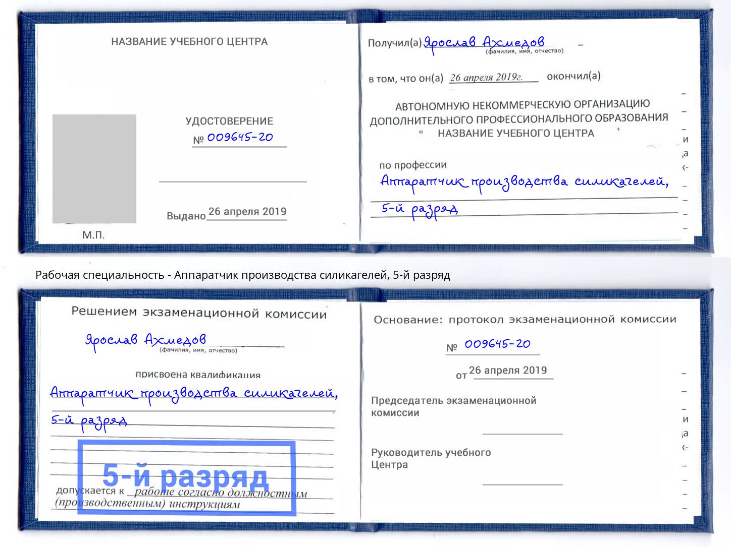 корочка 5-й разряд Аппаратчик производства силикагелей Россошь
