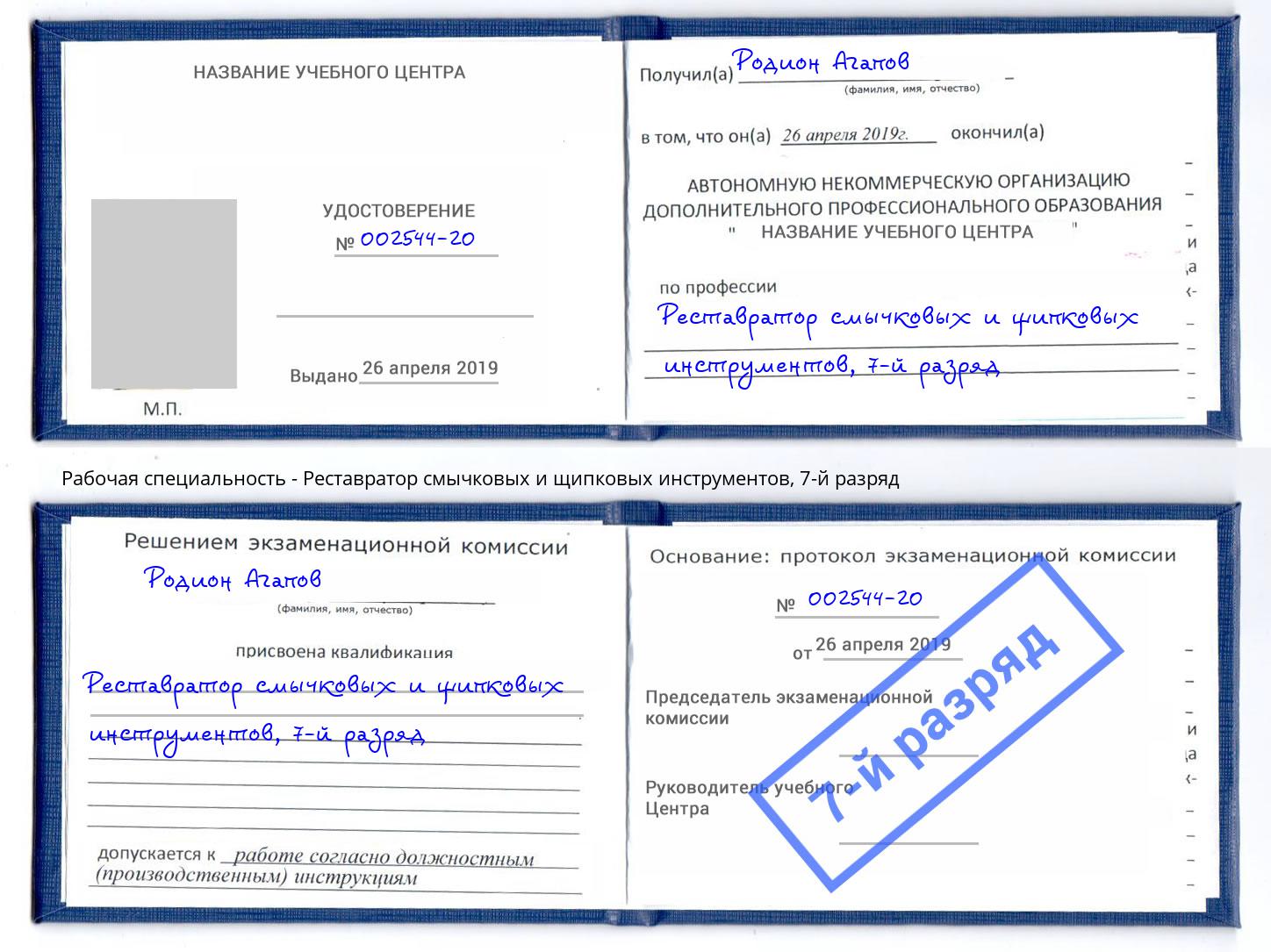 корочка 7-й разряд Реставратор смычковых и щипковых инструментов Россошь