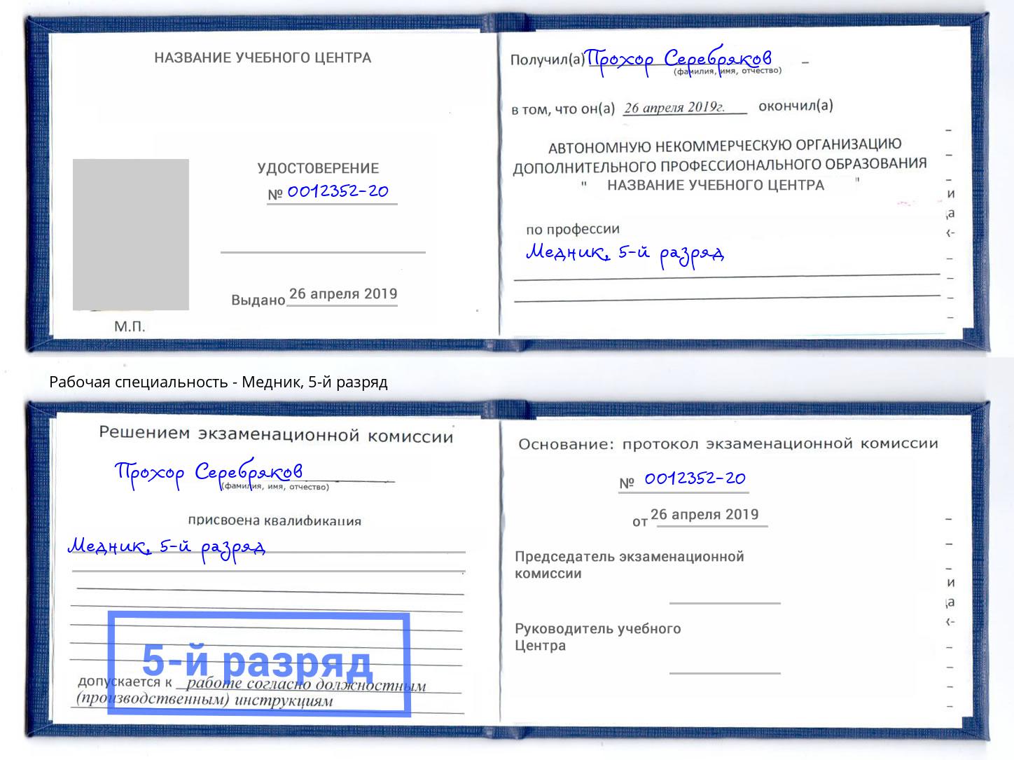 корочка 5-й разряд Медник Россошь
